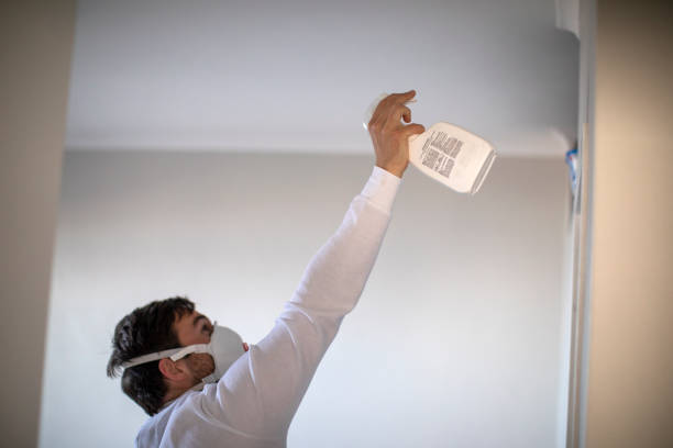 Best Mold Removal Near Me  in Polkton, NC
