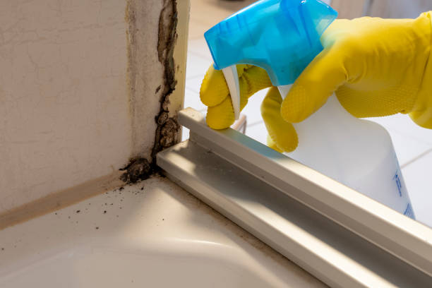 Water Damage Restoration in Polkton, NC