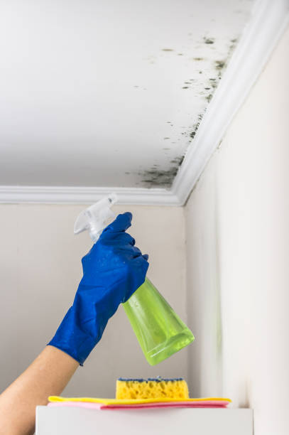 Best Crawl Space Mold Removal  in Polkton, NC